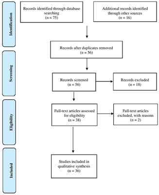 Eating Disorders During Emerging Adulthood: A Systematic Scoping Review